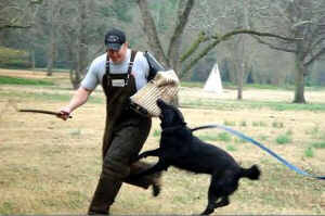 Cinder gets a grip on helper Matt Hammond