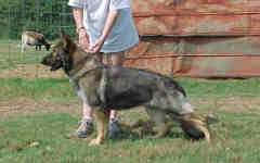 Zita